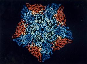 The cold virus, blast it. Picture credit: ENERGY.GOV, via Wikimedia Commons.